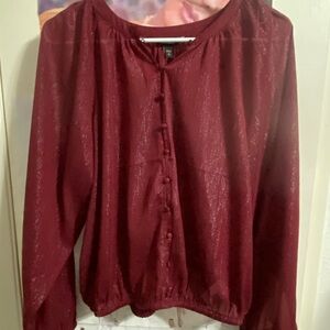 Express Shimmering Burgundy Blouse